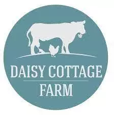 daisy cottage